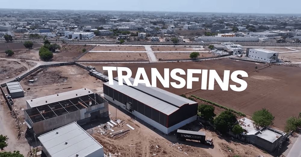 About Transfins